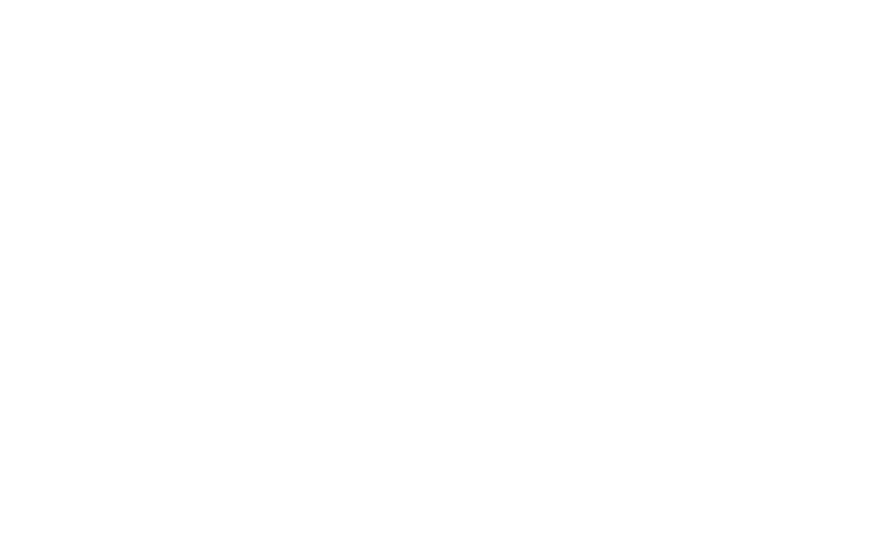 Vnpt Logo Png White